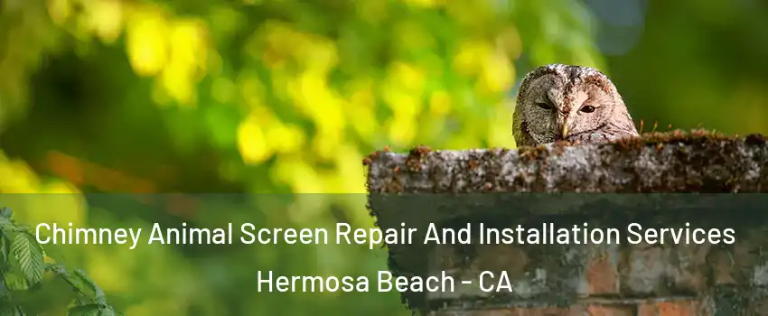  Chimney Animal Screen Repair And Installation Services Hermosa Beach - CA