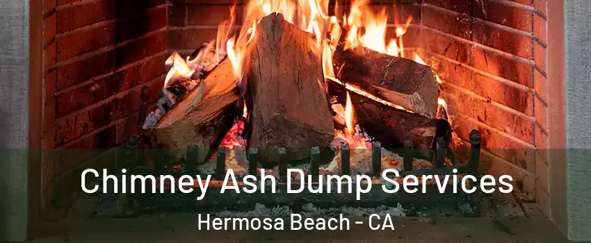  Chimney Ash Dump Services Hermosa Beach - CA