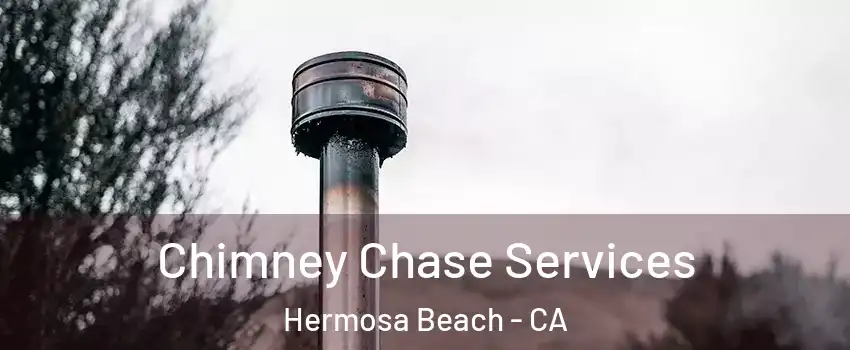  Chimney Chase Services Hermosa Beach - CA