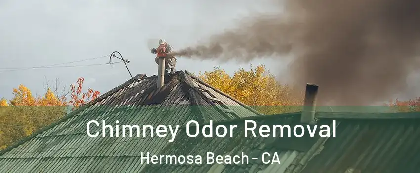  Chimney Odor Removal Hermosa Beach - CA