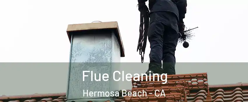  Flue Cleaning Hermosa Beach - CA