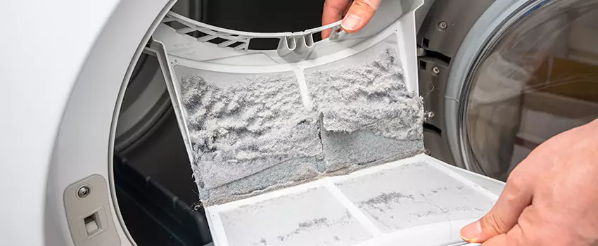 Best Dryer Lint Removal Company in Hermosa Beach, California