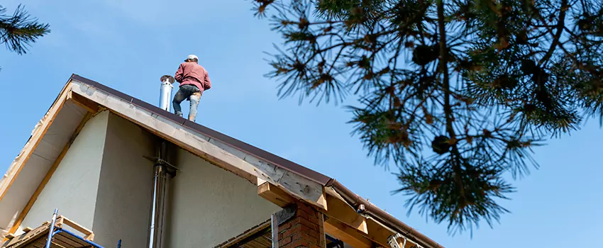 Birds Removal Contractors from Chimney in Hermosa Beach, CA
