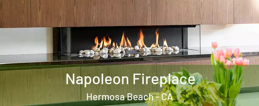  Napoleon Fireplace Hermosa Beach - CA